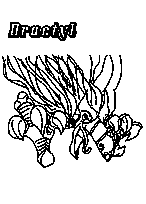 coloriage chaotic dractyl